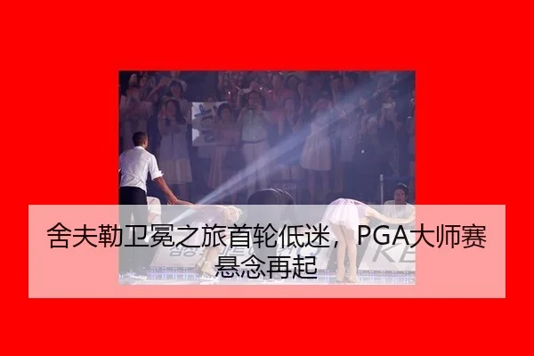 she-fu-lei-wei-mian-zhi-lv-shou-lun-di-mi-da-shi-sai-xuan-nian-zai-qi-3-570.jpg