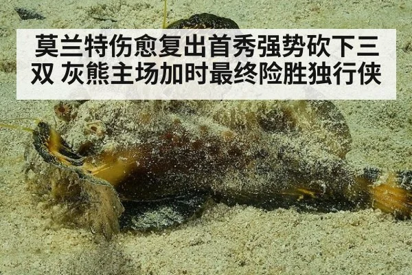 莫兰特伤愈复出首秀强势砍下三双 灰熊主场加时最终险胜独行侠