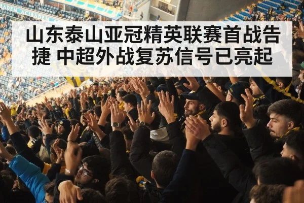 football fans cheering stadium