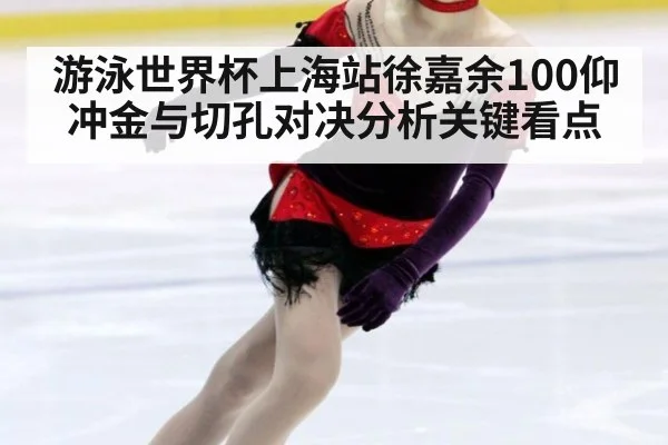 游泳世界杯上海站徐嘉余100仰冲金与切孔对决分析关键看点